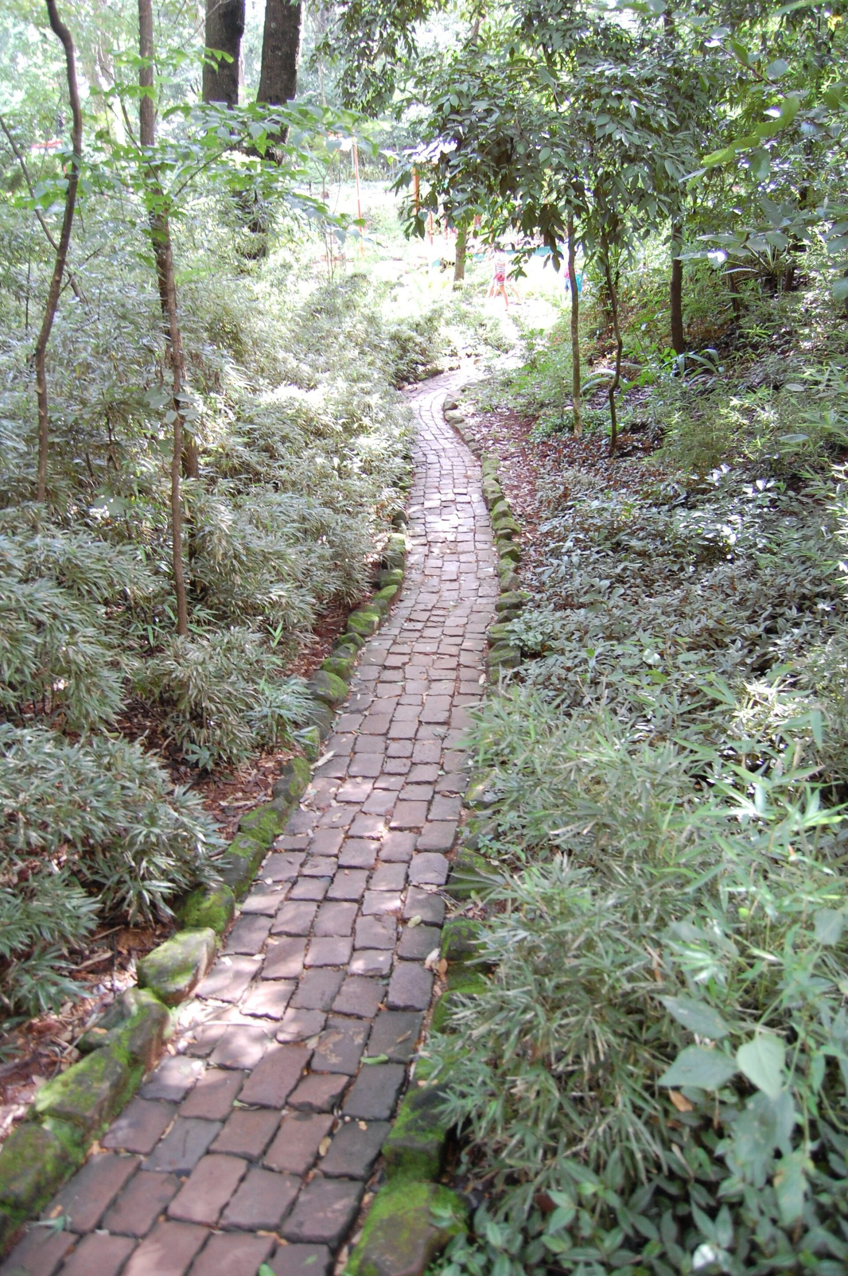 Ribeirão Preto com crianças: parques e passeios culturais