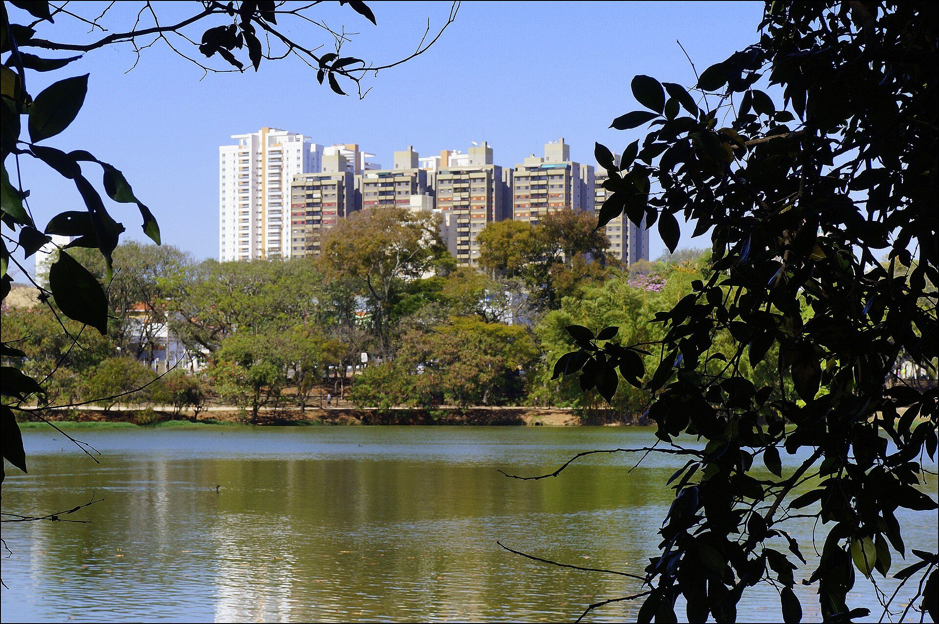 Lagoa do Taquaral: guia para planejar seu passeio em Campinas