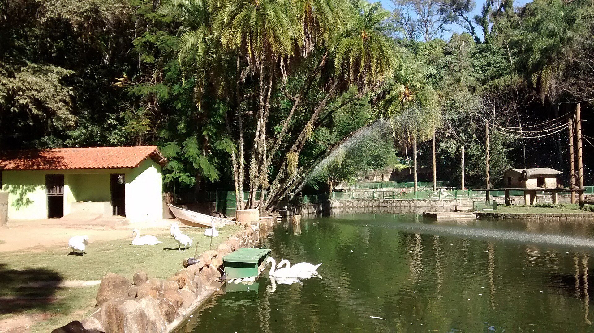 O que fazer em Campinas com crianças: passeios para diferentes idades